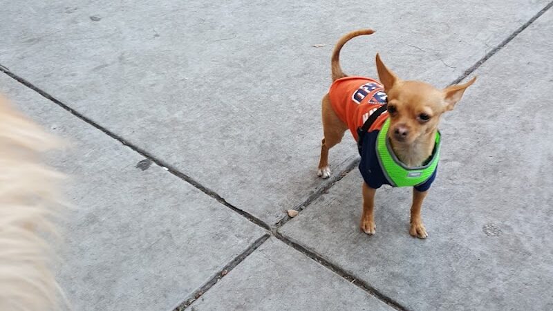 SoMa West Dog Park - San Francisco, CA