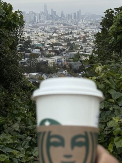 Walter Haas Dog Play Area - San Francisco, CA