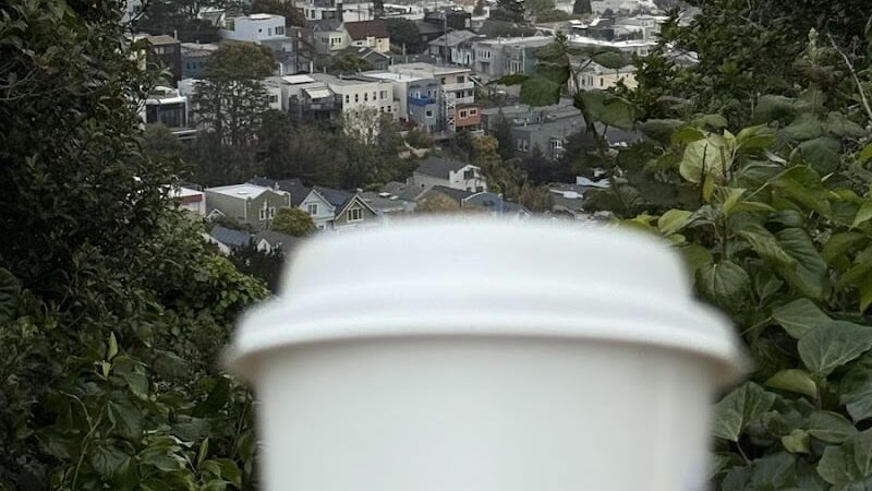 Walter Haas Dog Play Area - San Francisco, CA