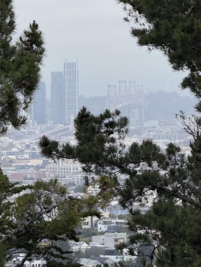 Walter Haas Dog Play Area - San Francisco, CA