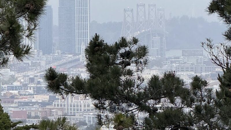 Walter Haas Dog Play Area - San Francisco, CA