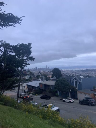 Walter Haas Dog Play Area - San Francisco, CA