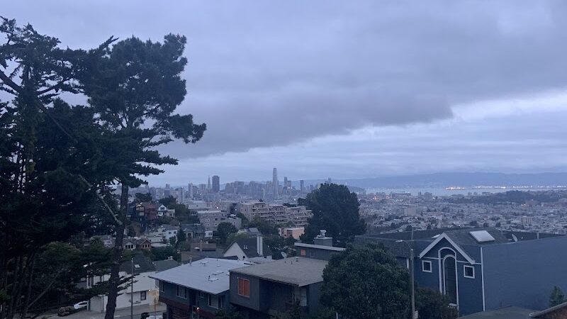 Walter Haas Dog Play Area - San Francisco, CA