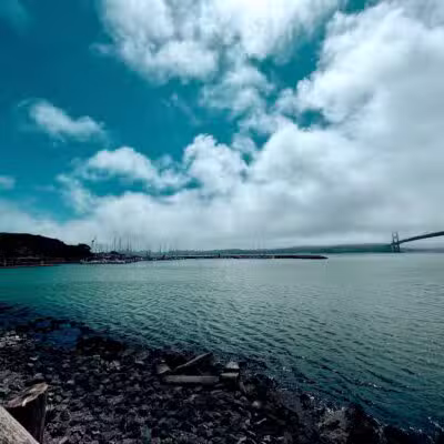 Golden Gate Park - San Francisco, CA