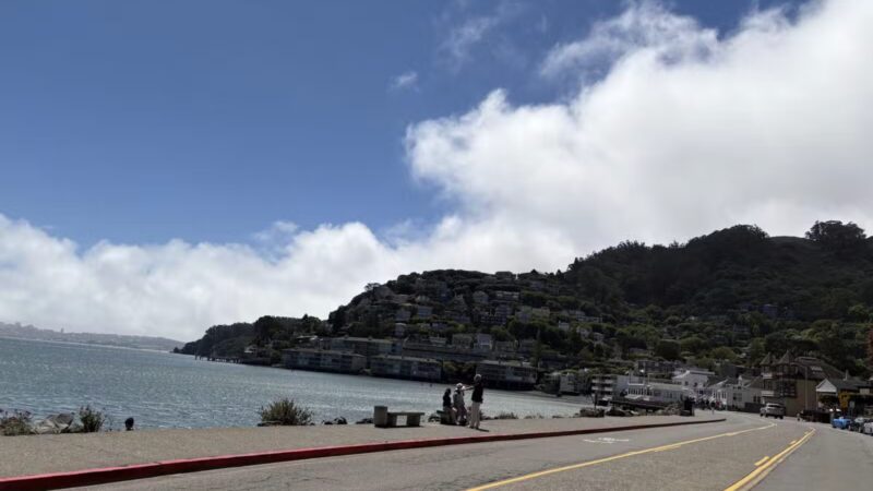 Golden Gate Park - San Francisco, CA