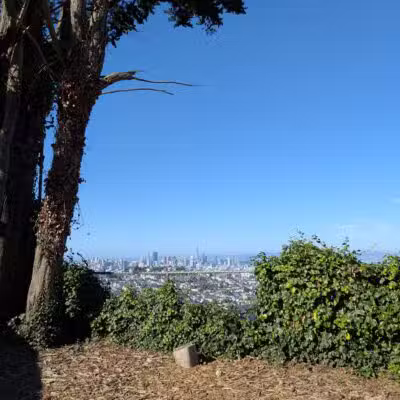 Upper Douglass Dog Play Area - San Francisco, CA