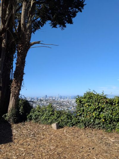 Upper Douglass Dog Play Area - San Francisco, CA