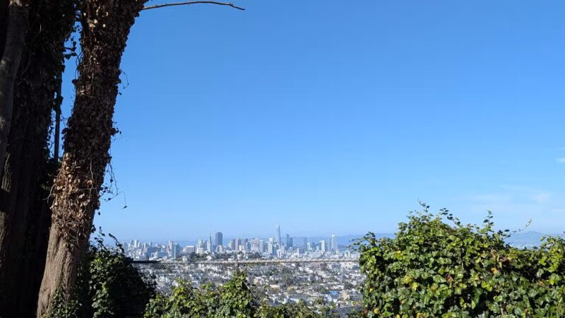 Upper Douglass Dog Play Area - San Francisco, CA