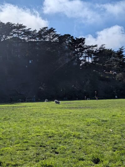 Upper Douglass Dog Play Area - San Francisco, CA