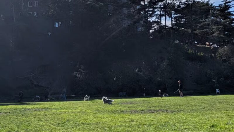 Upper Douglass Dog Play Area - San Francisco, CA