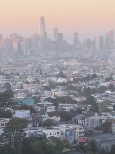 Walter Haas Dog Play Area - San Francisco, CA