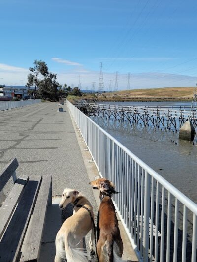 Dog Park | Seal Point Harbor - San Mateo, CA