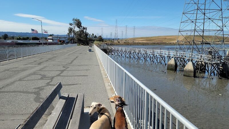 Dog Park | Seal Point Harbor - San Mateo, CA