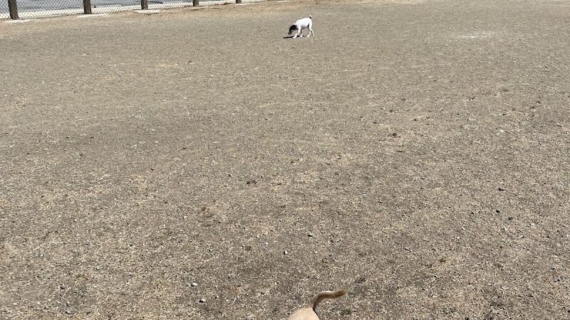 Dog Park | Seal Point Harbor - San Mateo, CA