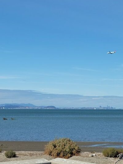 Dog Park | Seal Point Harbor - San Mateo, CA