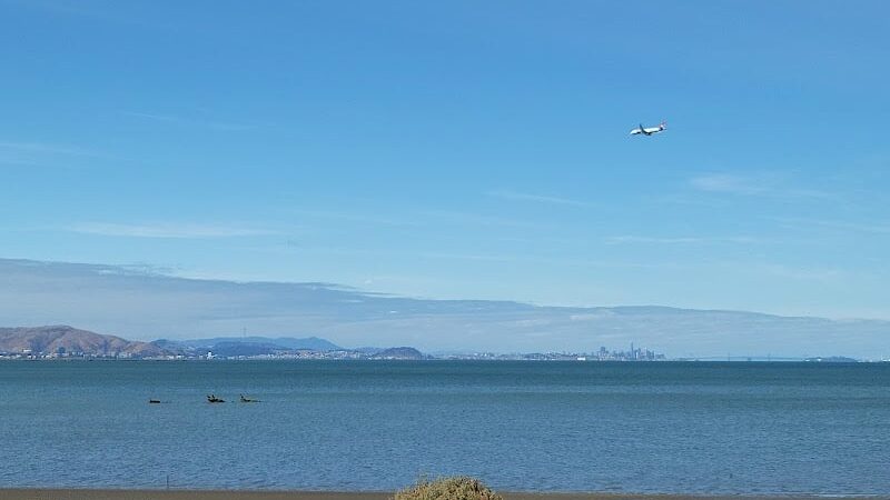 Dog Park | Seal Point Harbor - San Mateo, CA