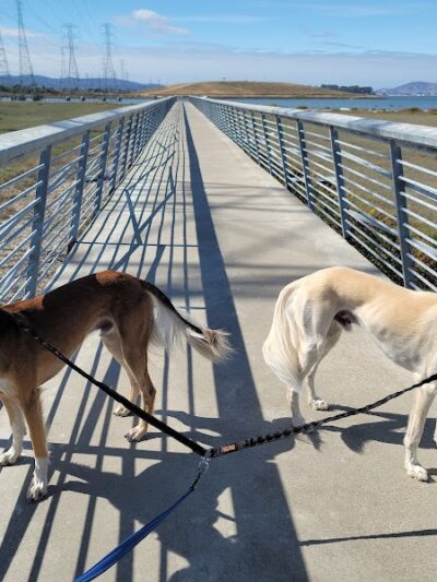 Dog Park | Seal Point Harbor - San Mateo, CA
