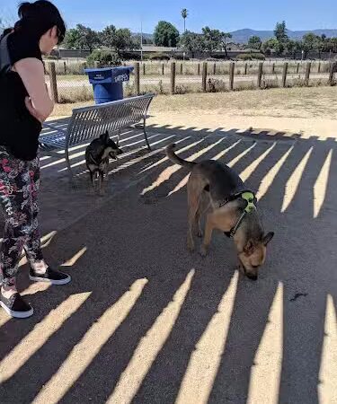 Dog Park | Seal Point Harbor - San Mateo, CA