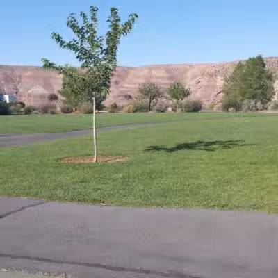 Black Rock Park - Santa Clara, UT