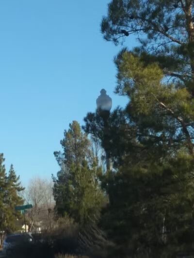 Black Rock Park - Santa Clara, UT