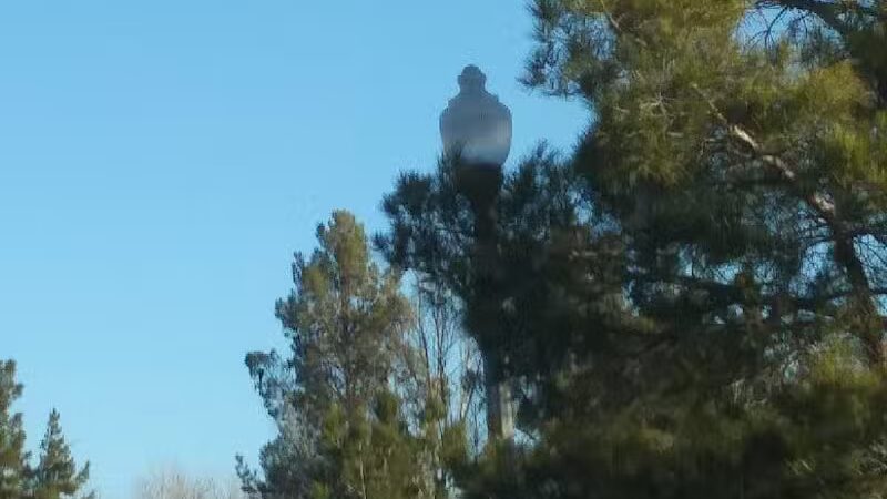 Black Rock Park - Santa Clara, UT