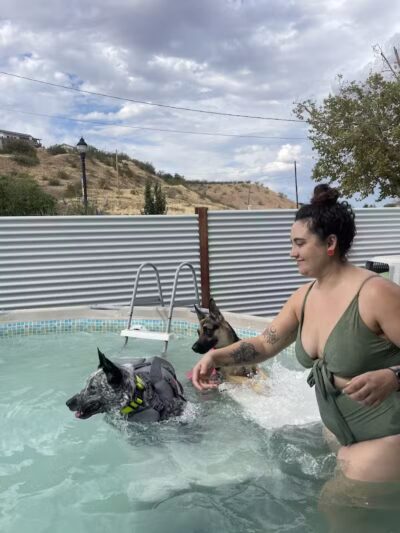 WOOF! Wellness Center & Training Academy - Santa Clara, UT