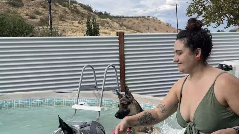 WOOF! Wellness Center & Training Academy - Santa Clara, UT