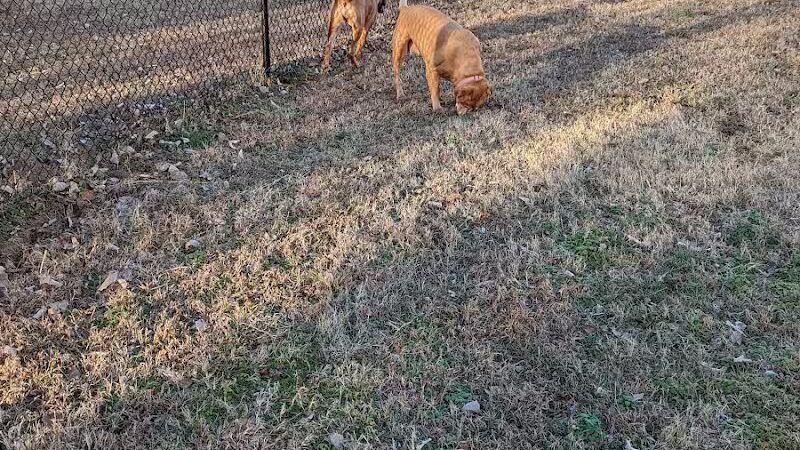 Dog Park Wiggly Field Sapulpa - Sapulpa, OK