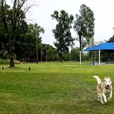 Dog Park Wiggly Field Sapulpa - Sapulpa, OK