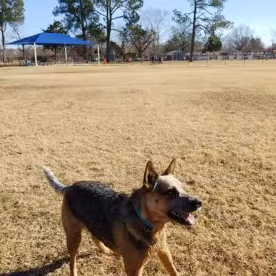Dog Park Wiggly Field Sapulpa - Sapulpa, OK