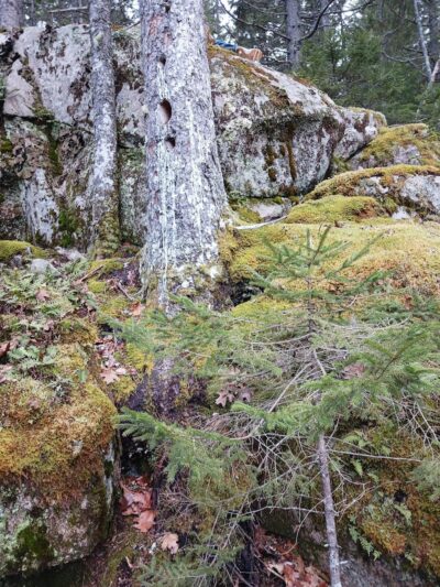 Lookout Rock Trailhead - Sargentville, ME