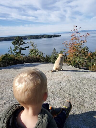 Lookout Rock Trailhead - Sargentville, ME