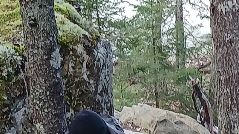 Lookout Rock Trailhead - Sargentville, ME