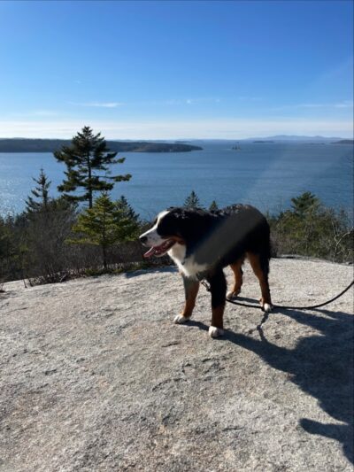 Lookout Rock Trailhead - Sargentville, ME