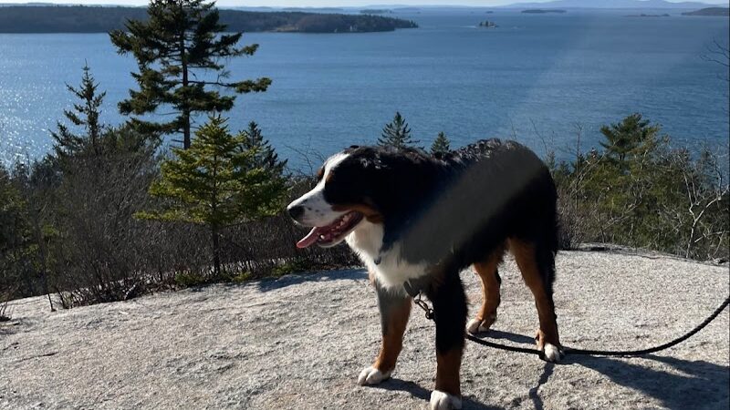 Lookout Rock Trailhead - Sargentville, ME