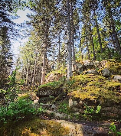 Lookout Rock Trailhead - Sargentville, ME