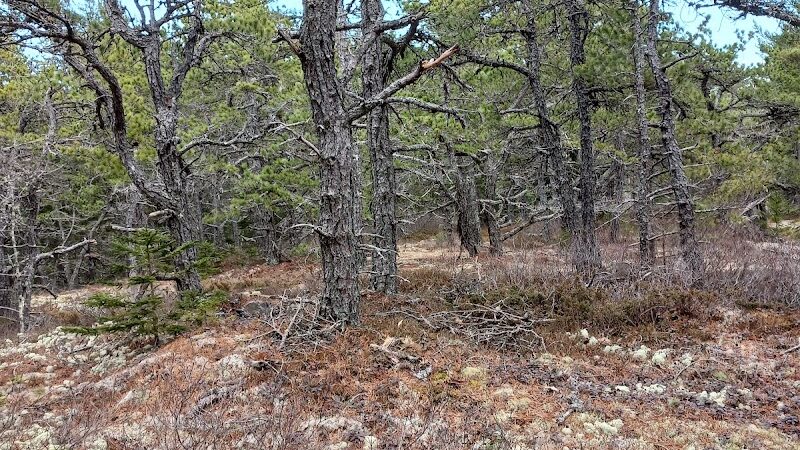 Lookout Rock Trailhead - Sargentville, ME
