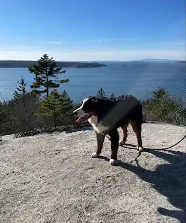 Lookout Rock Trailhead - Sargentville, ME