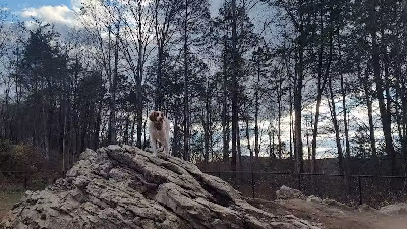 Saugerties Dog Park - Saugerties, NY