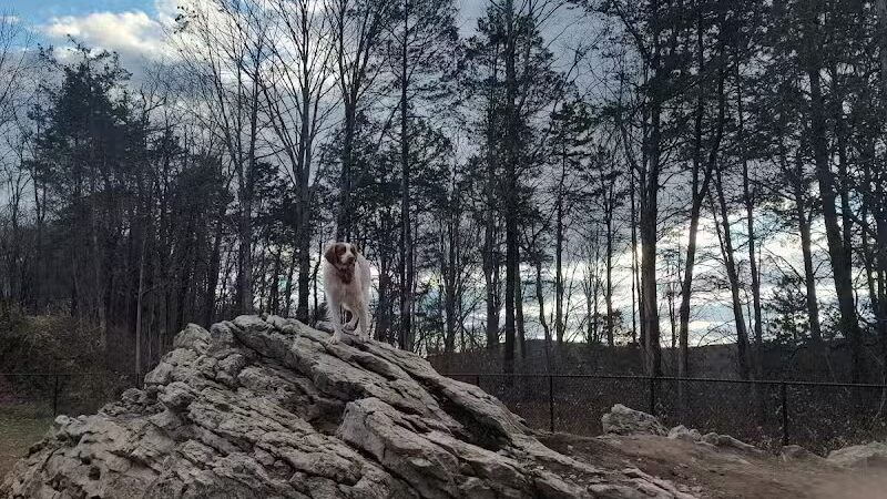 Saugerties Dog Park - Saugerties, NY