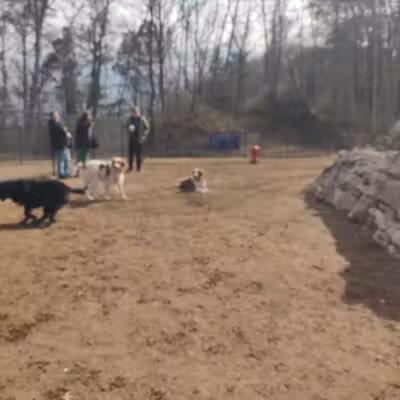 Saugerties Dog Park - Saugerties, NY