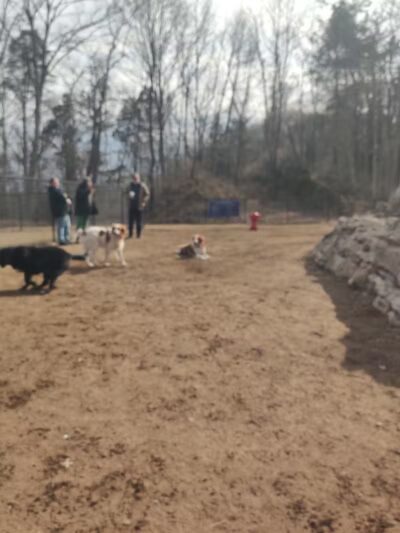Saugerties Dog Park - Saugerties, NY
