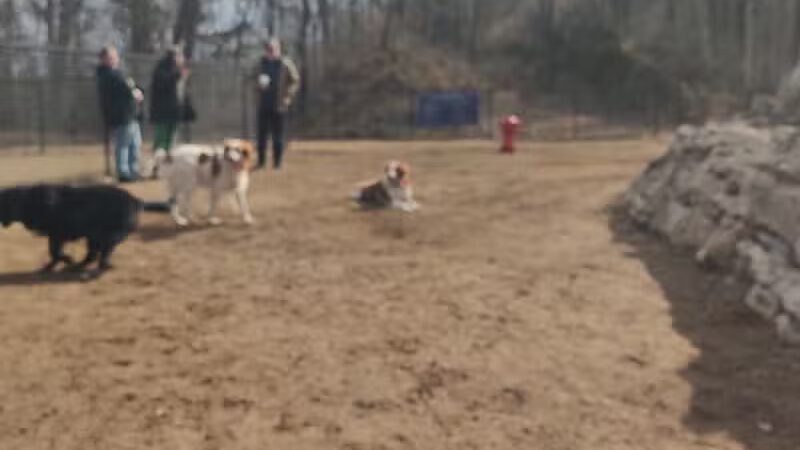 Saugerties Dog Park - Saugerties, NY