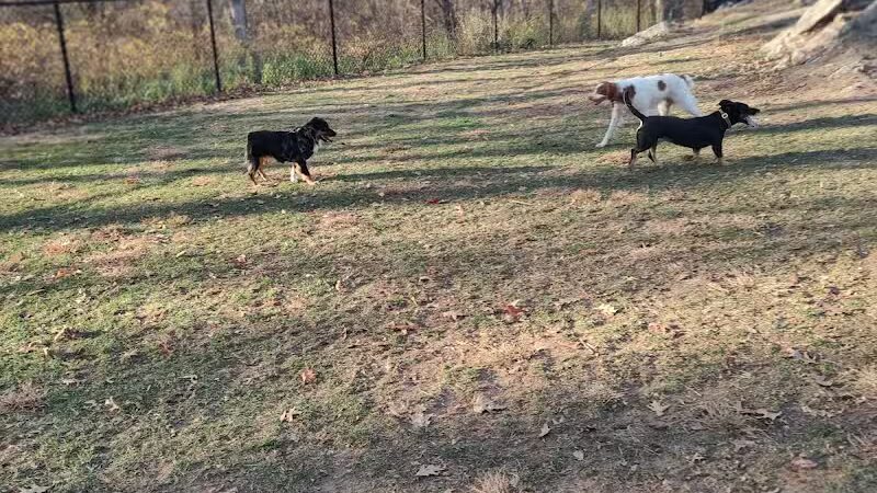 Saugerties Dog Park - Saugerties, NY