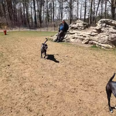 Saugerties Dog Park - Saugerties, NY