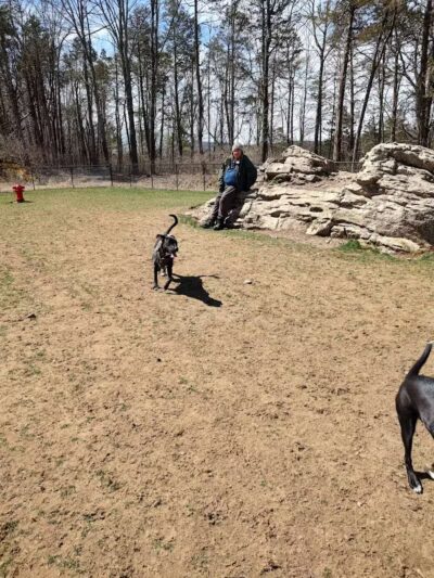 Saugerties Dog Park - Saugerties, NY