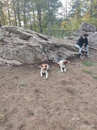 Saugerties Dog Park - Saugerties, NY