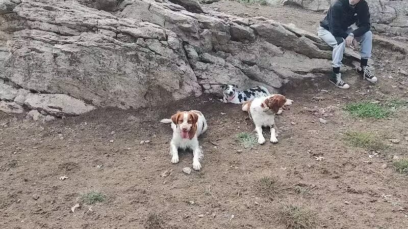 Saugerties Dog Park - Saugerties, NY