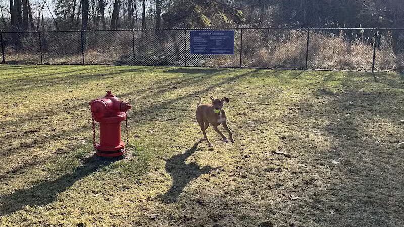 Saugerties Dog Park - Saugerties, NY