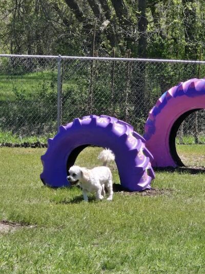 Sauk Centre Dog Park - Sauk Centre, MN